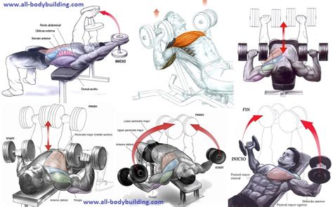 Mar 17, 2022 · Learn how to do chest workouts with dumbbells to build sizeable and muscular pecs at home. Find out the benefits, muscle anatomy, and step-by-step instructions for 18 dumbbell chest exercises for upper, middle, and lower chest. 